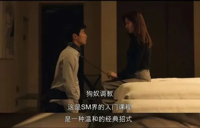 西檬之家-新人入圈：从基础术语到SSC原则的安全指南
