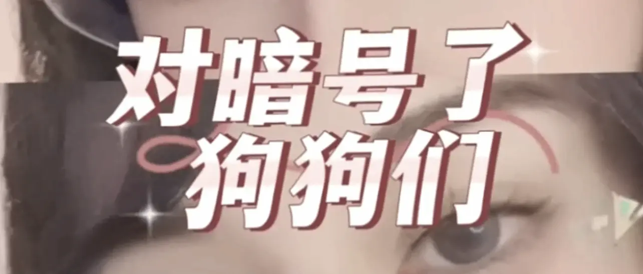 【西檬之家】Dom是什么意思？BDSM圈新人必读的支配角色指南