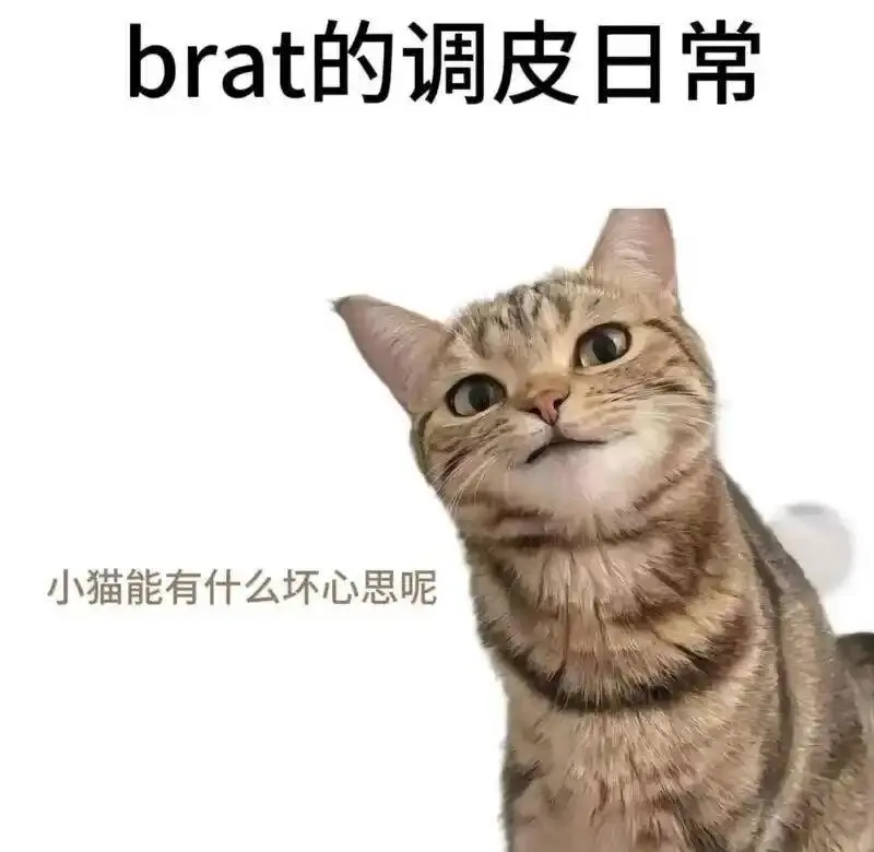 西檬之家-BD是什么意思？字母圈新人入圈指南