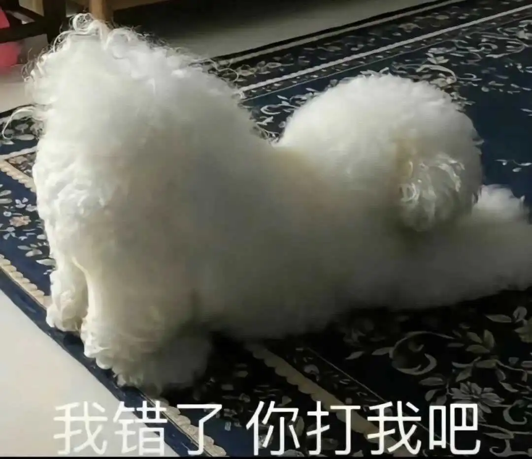 【西檬之家】探索字母圈关键词解析小圈入门指南