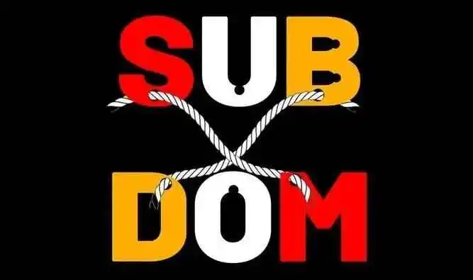 西檬之家-BDSM新人指南 从零开始理解字母圈文化
