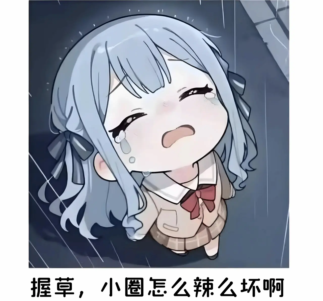大圈 - 微信图片_20250715162847