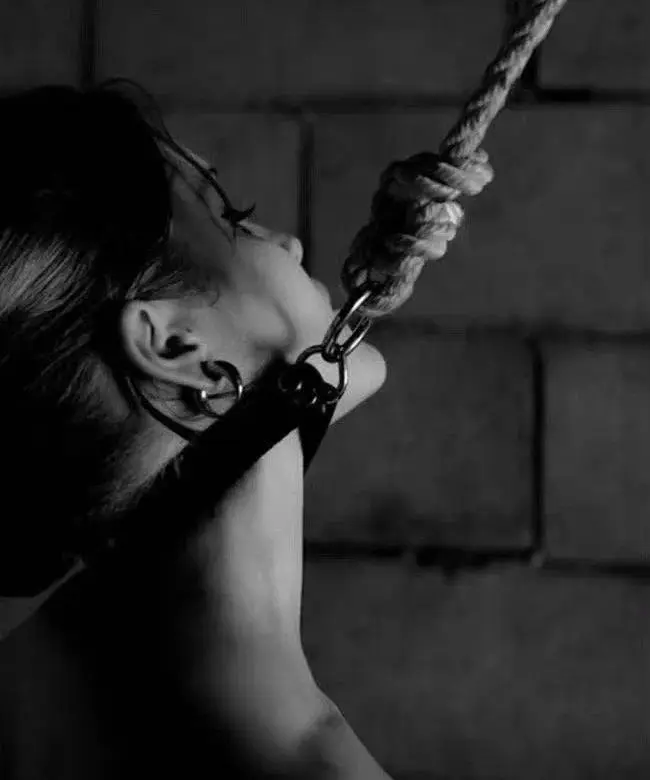 西檬之家-BDSM入圈指南：从新人到进阶必备知识