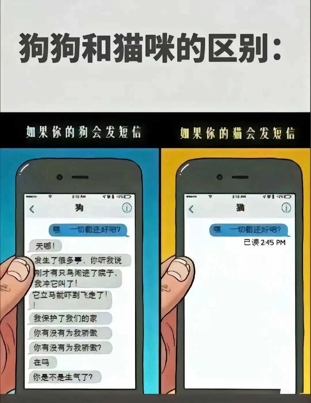 S：实用指南